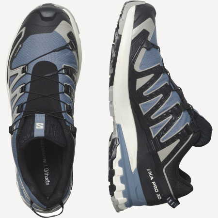 Кроссовки XA PRO 3D v9 GTX (RU 45.5 UK 11.5 USm 12 СМ 29.5; flint stone/black/ghost gray)
